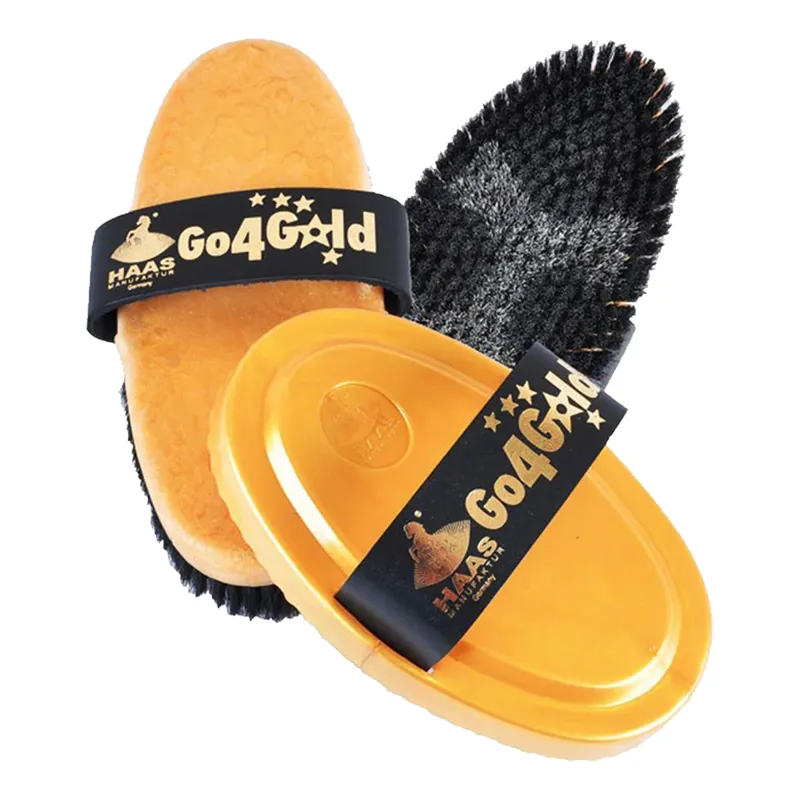 Haas Go 4 Gold Brush Set